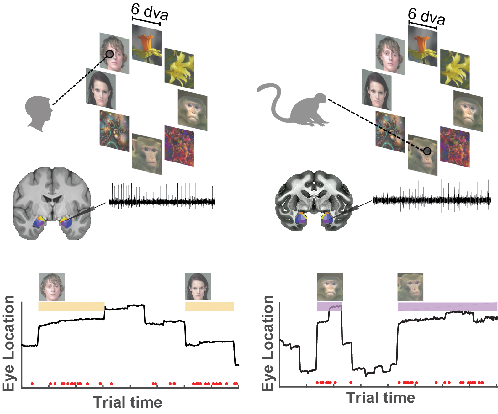 example image